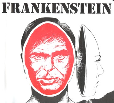 A Frankenstein poster image